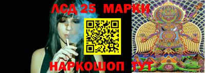 сатива Кингисепп