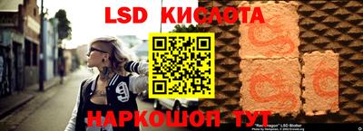 стаф Камышлов