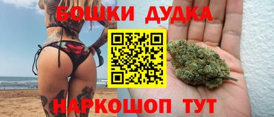 сатива Кингисепп