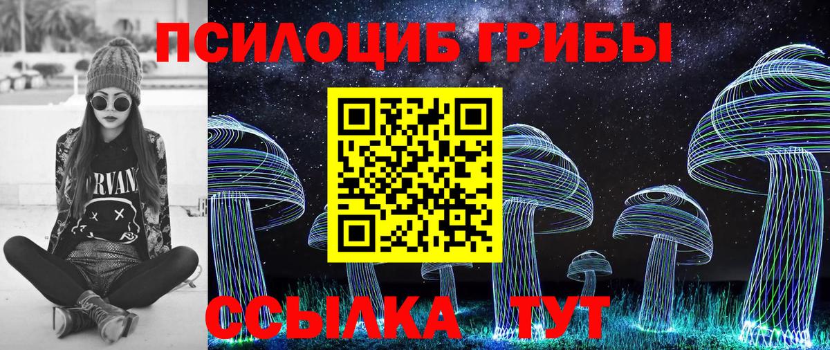 Галлюциногенные грибы Psilocybine cubensis Керчь